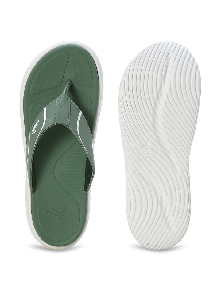 Puma - Image 2
