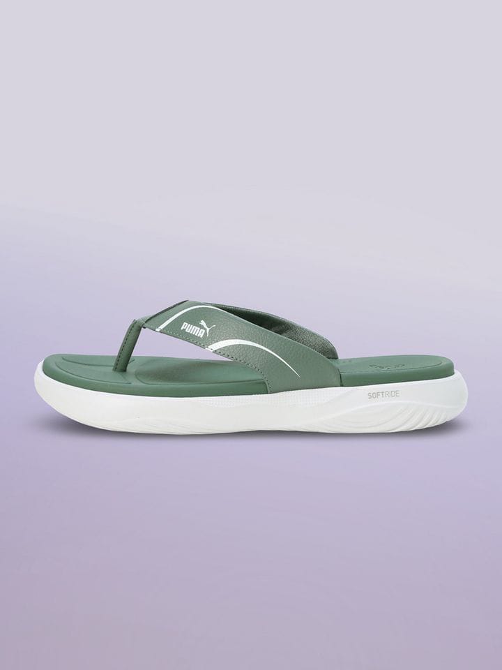 Puma - Image 4