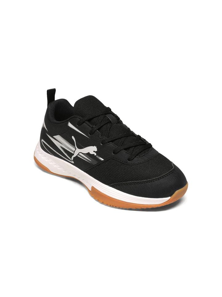 Puma - Image 3