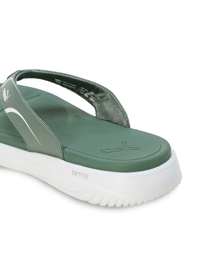 Puma - Image 3