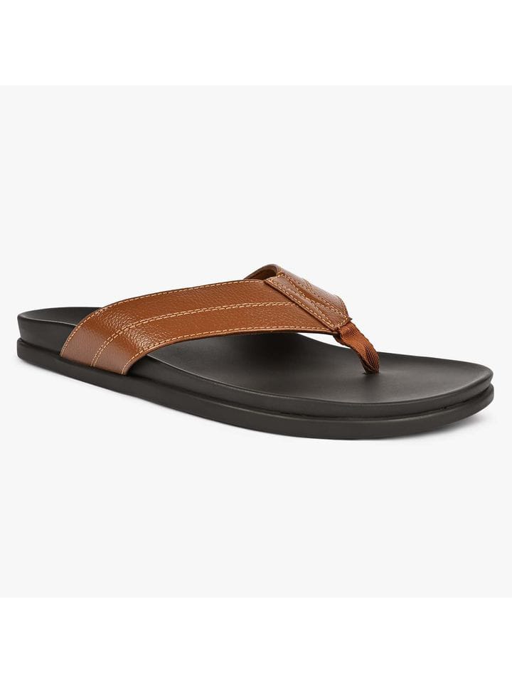 Aldo - Image 3
